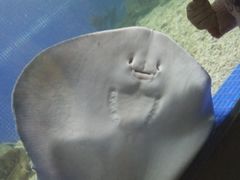 -左海海底世界