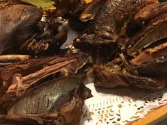 -食家鸽园