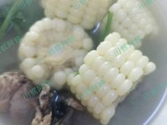 -田螺阿姨自营月嫂·育儿嫂(高新店)