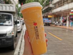 -潮汕良心果汁(金新北路店)