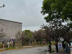 -嘉定紫藤园