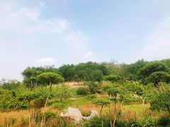 -南翠屏公园
