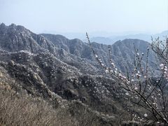 -大岭沟猕猴桃谷风景区