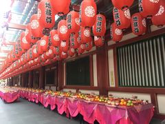 -新加坡佛牙寺龙华院