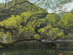 -上坦村