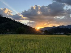 -福建土楼（华安）旅游区•大地土楼群