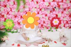 -巴黎Paris baby儿童摄影(宝山万达店)