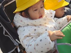 -豆初托育园 Baby Bean Day care Center