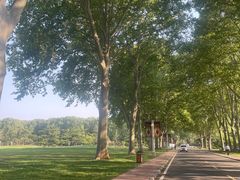 -河南省黄河迎宾馆