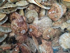 -和源祥·日照菜扛把子(万平口一店)