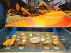 -正佳自然科学博物馆