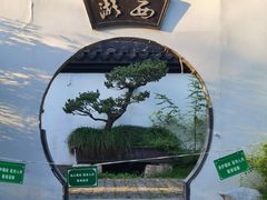 -上海共青森林公园