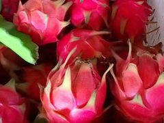 -鸿港海鲜批发市场