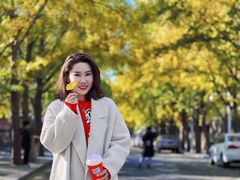 -三里屯东五街银杏大道