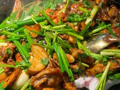 -九毛九西北菜(大东海店)