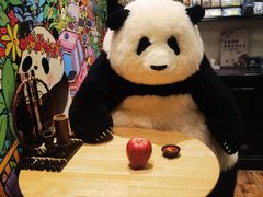 -轩客会(熊猫书店)