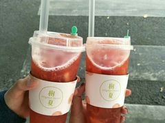 树夏草莓（始于颜值，陷于美味）-树夏(建设路店)