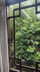 -莲生母婴月子中心(清水河公园店)