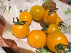 -季季山·云南野生菌火锅(上海首店)