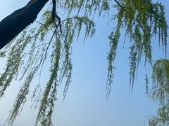 -杭州温德姆至尊豪廷大酒店