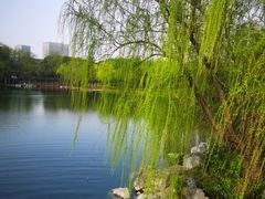 -高子水居