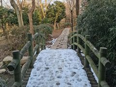 -宝界山林公园