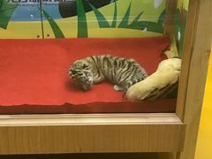 -齐齐哈尔龙沙动植物园
