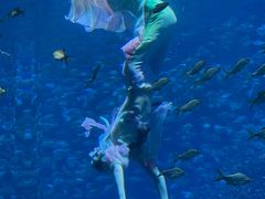 -合肥海洋世界