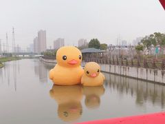 -菊园百果园
