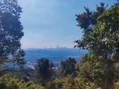 -火炉山森林公园