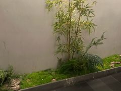 -三只耳冷锅鱼火锅(玉林店)