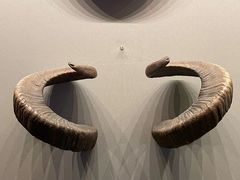-贵州省博物馆(新馆)