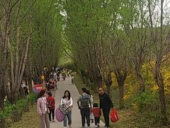 -西部长青自然儿童乐园