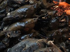 -老字号周记古蔺麻辣鸡·非物质文化遗产传承店