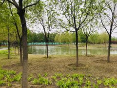 -东郊湿地公园
