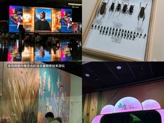 -广东省博物馆