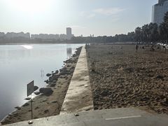 -金沙湖公园