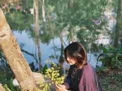 -人民公园(罗湖区)