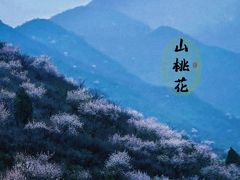 -妙峰山风景名胜区