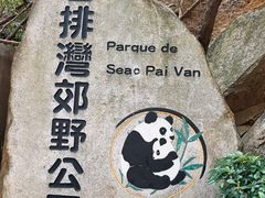 -石排湾郊野公园