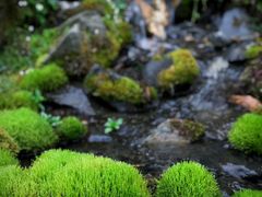 -硗碛藏寨·神木垒景区