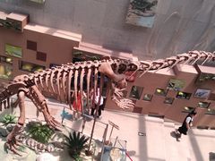 -陕西自然博物馆