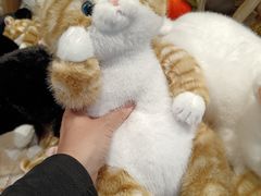 -酷乐潮玩(五道口购物中心店)