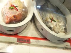 -六泰居·尔滨地标·东北菜(松北店)