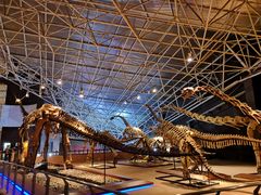 -世界恐龙谷景区