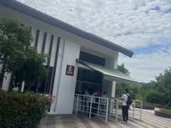 -长兴太湖图影湿地文化园
