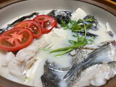 -全乐鱼馆·淳牌有机鱼直营店