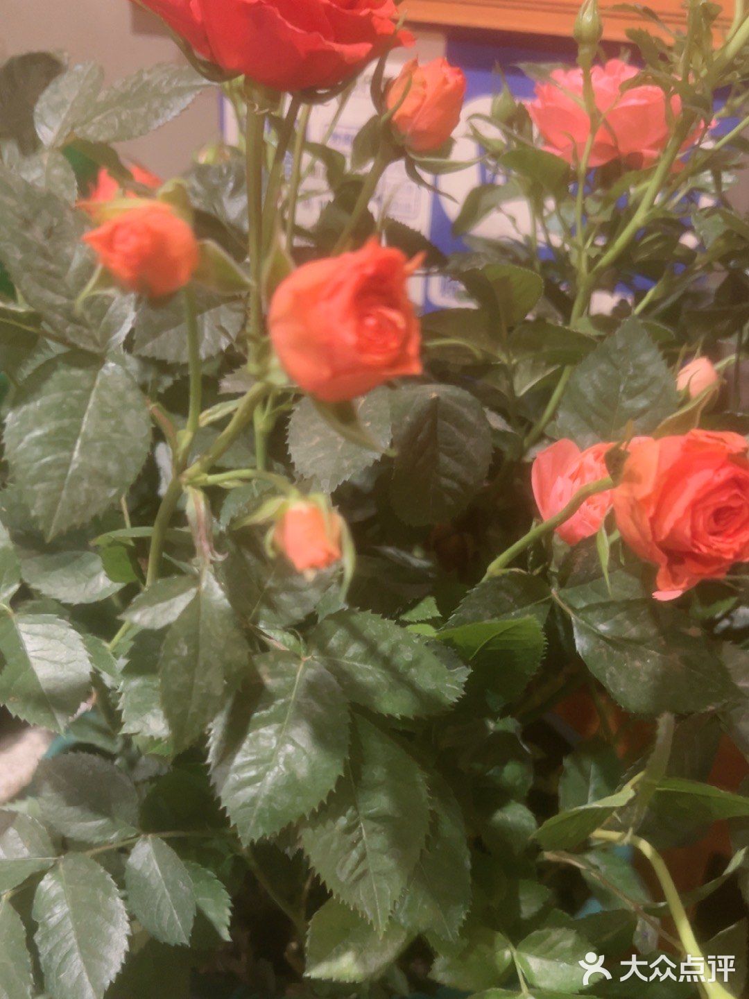 特色菜今日之选