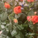 特色菜今日之选