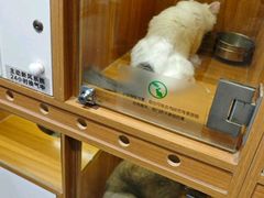 -汤姆宠物(长青北路店)